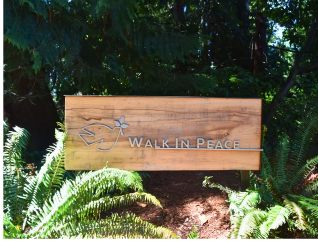 Peace & Spirituality Center Cards