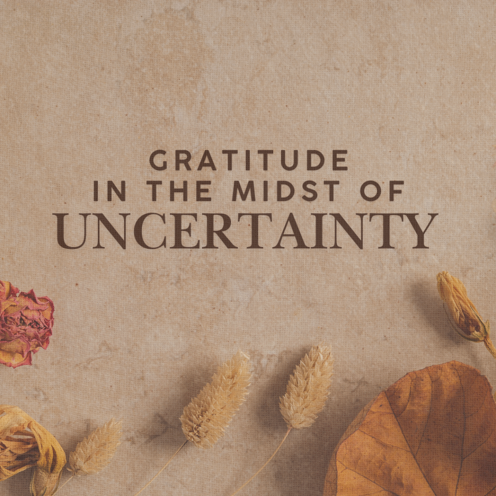 Peace & Spirituality Center Cards